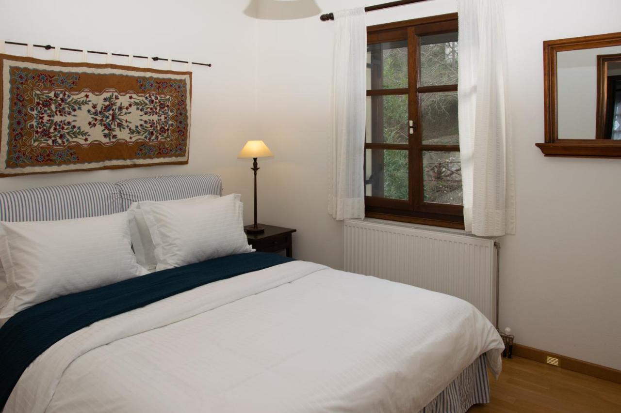 Θαλλώ Luxurious Villa Tsagarada Zewnętrze zdjęcie