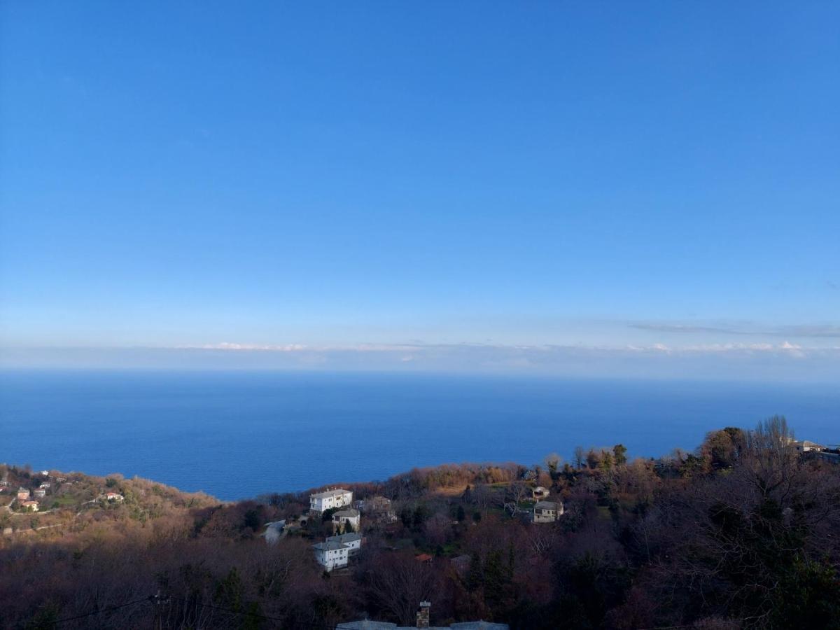 Θαλλώ Luxurious Villa Tsagarada Zewnętrze zdjęcie