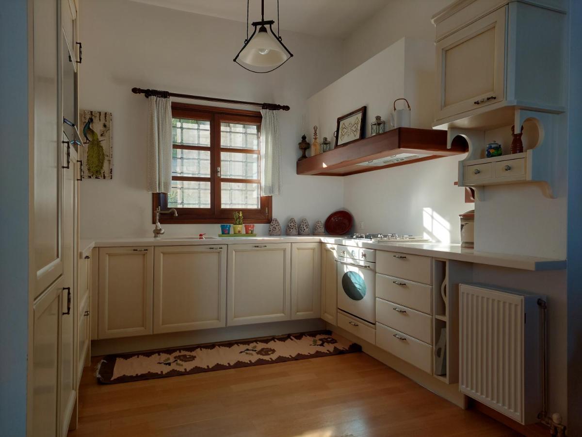 Θαλλώ Luxurious Villa Tsagarada Zewnętrze zdjęcie