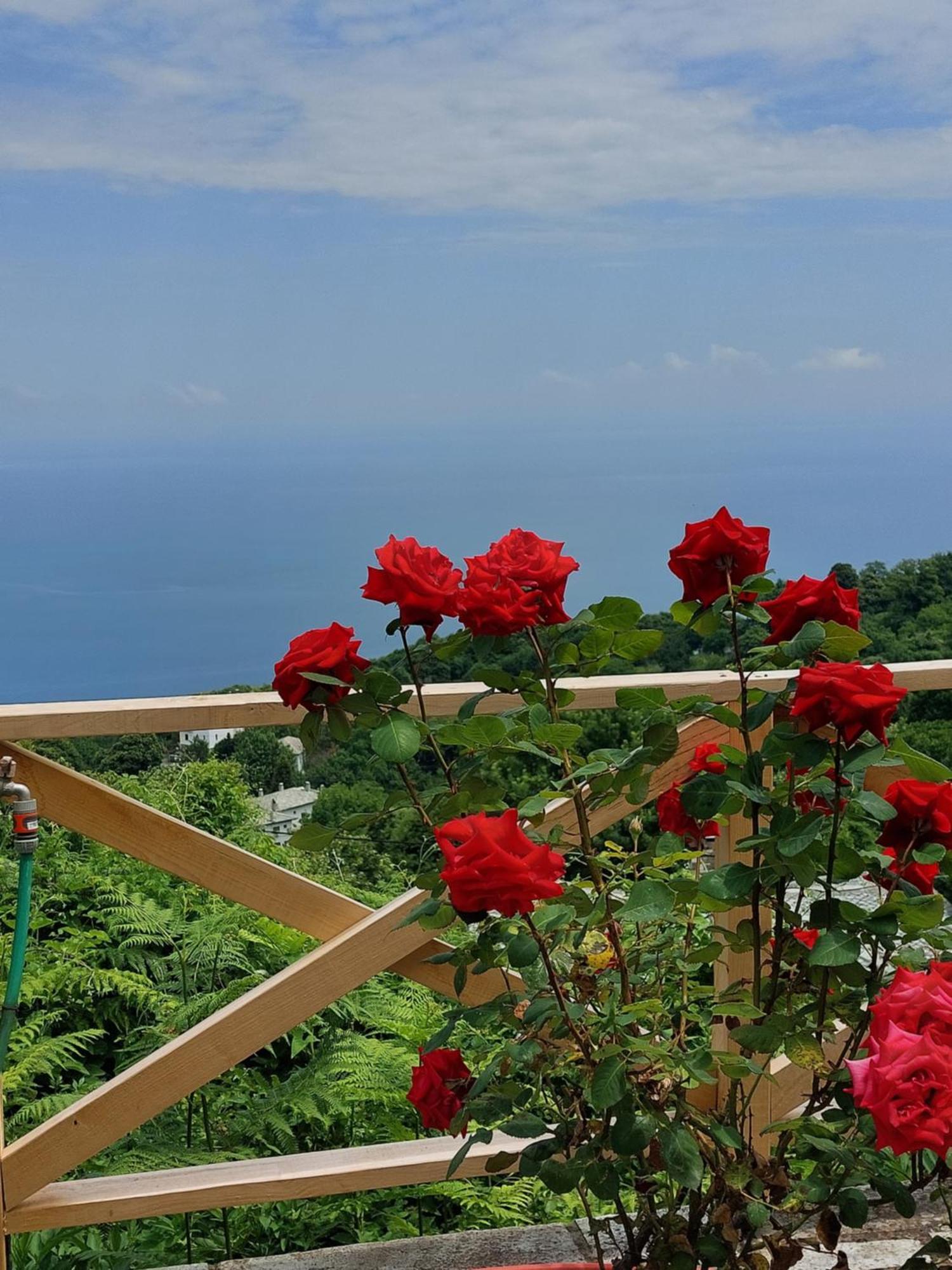 Θαλλώ Luxurious Villa Tsagarada Pokój zdjęcie