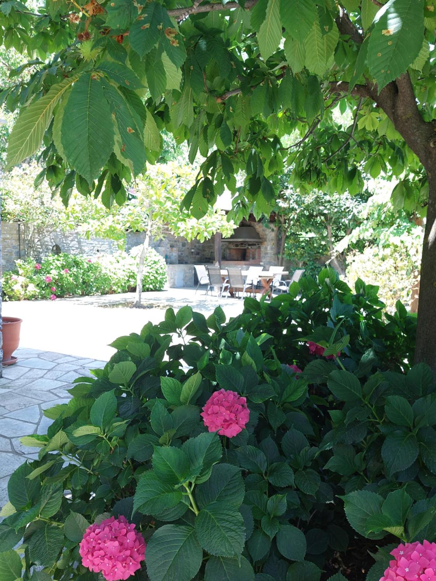 Θαλλώ Luxurious Villa Tsagarada Zewnętrze zdjęcie