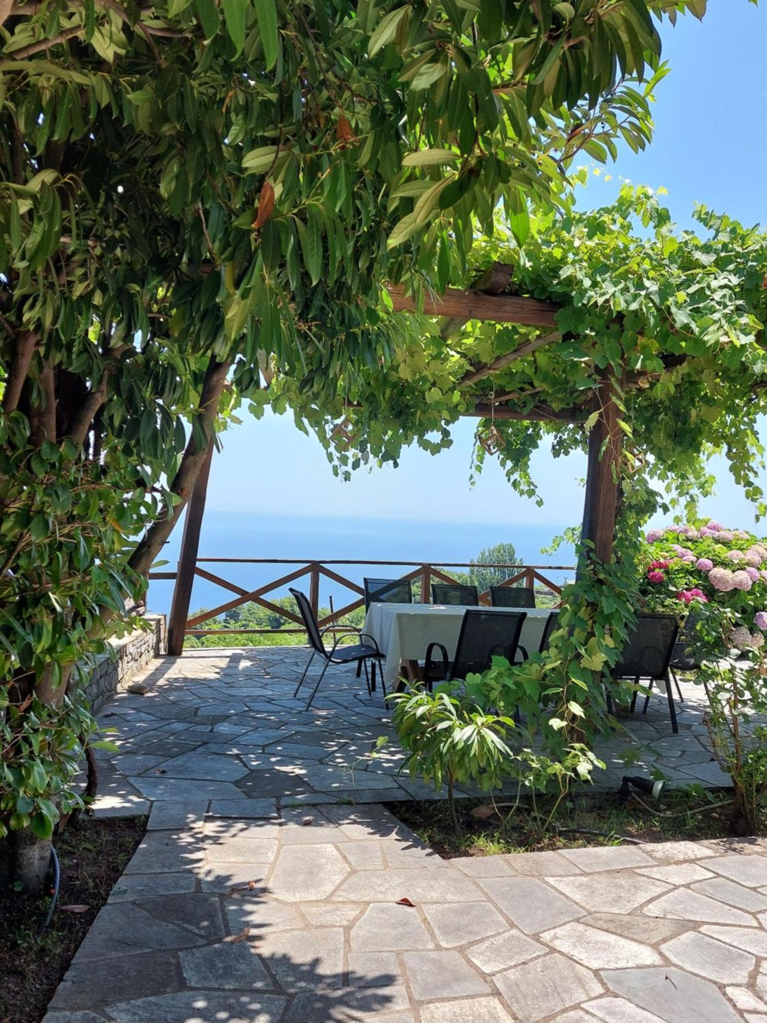 Θαλλώ Luxurious Villa Tsagarada Zewnętrze zdjęcie