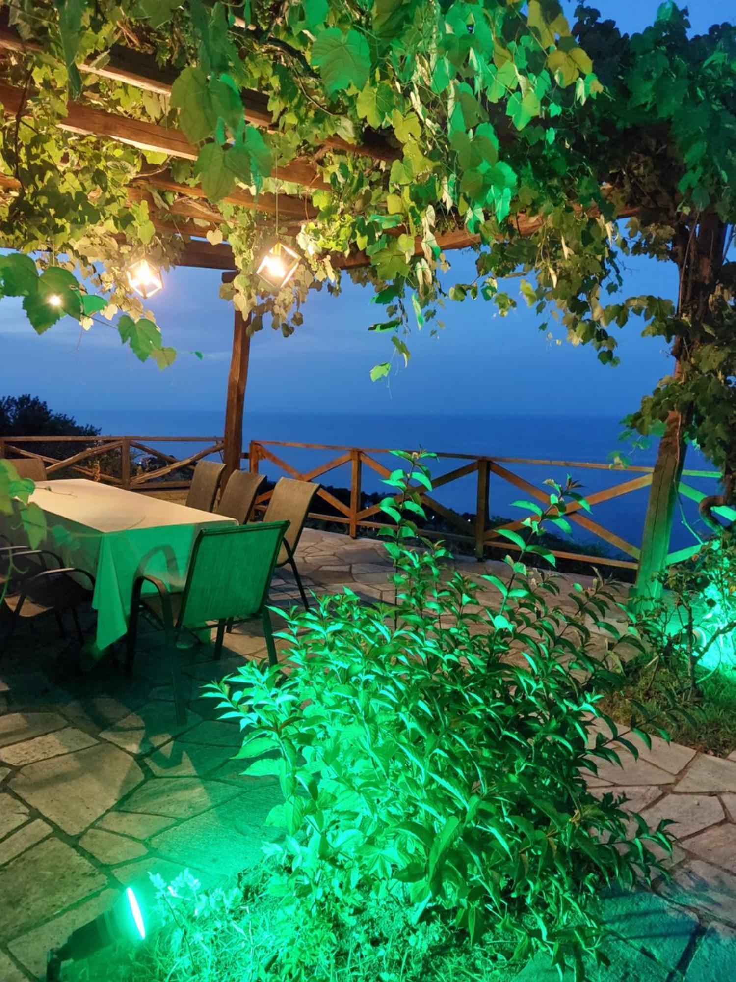 Θαλλώ Luxurious Villa Tsagarada Zewnętrze zdjęcie