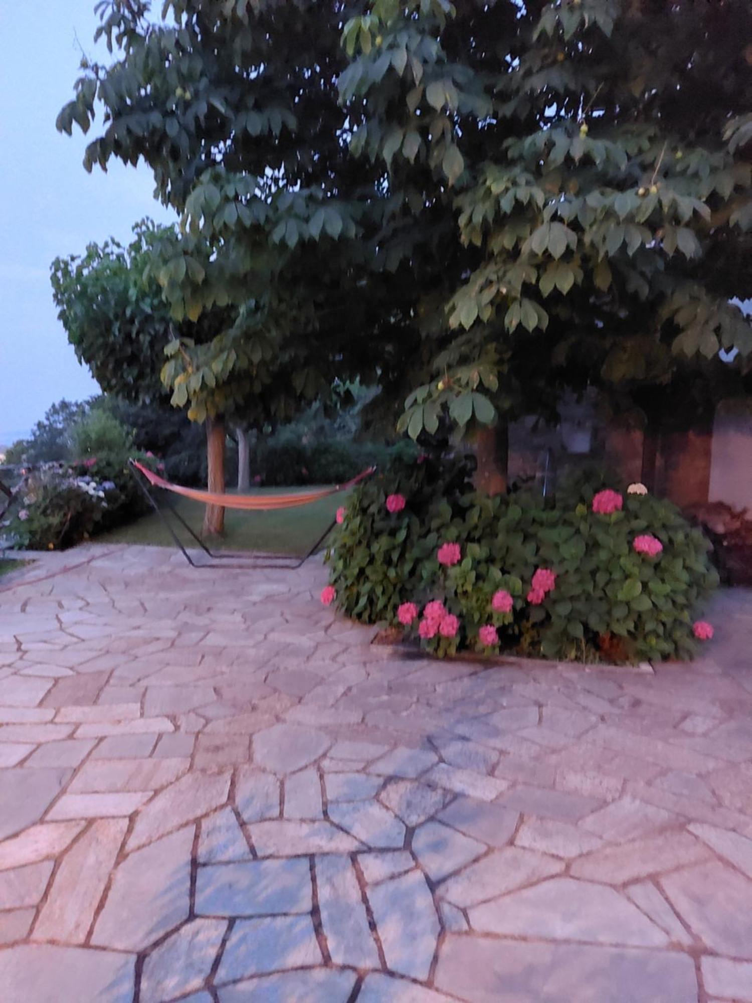 Θαλλώ Luxurious Villa Tsagarada Zewnętrze zdjęcie